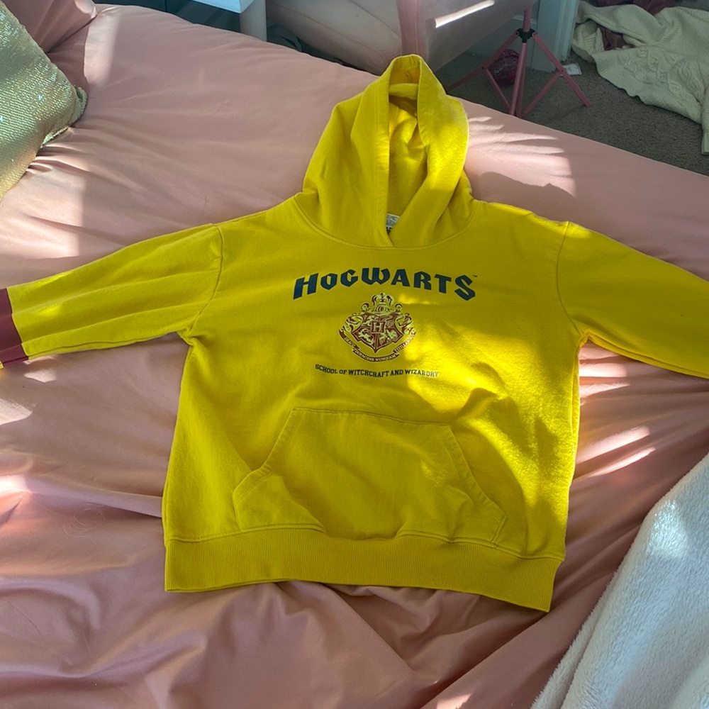 This is a Hogwarts: School of Witchcraft and Wizardry hoodie.